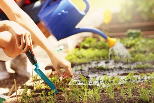 The image shows two hands gardening in a residential outdoor space, planting young green seedlings in a neatly prepared flower bed with dark, moist soil. Behind the planting activity, a blue watering can is positioned to water the plants, providing necessary moisture for growth. The flower bed features a border made of wooden planks, delineating it from a well-maintained grassy lawn in the foreground. The lawn has dense, vibrant green grass, contrasting with the freshly tilled soil and emerging plants. Sunlight illuminates the scene, indicating a clear day, with natural light highlighting the textures of the soil, plants, and wooden edging. In the background, blurred garden elements such as shrubs or garden furniture might be visible, suggesting a well-kept outdoor space suitable for gardening services. The image emphasizes careful planting, soil management, and outdoor maintenance, reflective of professional gardening work by Landscapers Stoke Newington, servicing areas around N16, and aligning with comprehensive flower bed creation and lawn care services in the local area.