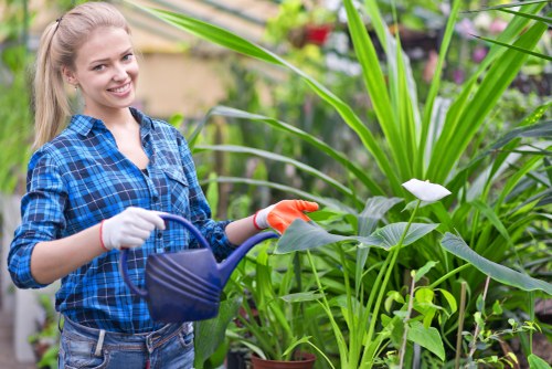 Secure payment options for Landscapers Stoke Newington