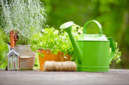 A close-up view of a garden workspace featuring a variety of gardening items on a weathered wooden surface in an outdoor setting, with a lush green background. Visible elements include a bright green watering can placed centrally, a coiled jute twine lying beside it, and a terracotta flower pot filled with vibrant green leafy plants. To the left, there is a metallic hand rake with a wooden handle, and behind it, a large white pot holding a tall, silver-green shrub or herb, possibly rosemary or lavender. The surface appears slightly textured and weathered, suggesting an outdoor garden area. The background is filled with blurred greenery, indicating a garden or backyard environment, and the overall scene is illuminated by natural daylight, highlighting the lively, fresh tones of the plants. This setup suggests ongoing garden maintenance or planting activities, aligning with the gardening services offered by Landscapers Stoke Newington in that local area.