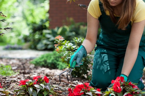 A person wearing teal gardening gloves and a yellow top with dark green overalls is kneeling in a back garden, tending to a bed of vibrant red flowering plants and green foliage. The garden features a well-maintained lawn with lush, dense grass in the foreground, bordered by soil and mulch where the individual is working. In the background, there are various shrubs and small trees, contributing to a dense and healthy landscape. The scene is illuminated by natural daylight, suggesting a bright, perhaps slightly overcast day, and the setting appears to be a private outdoor space typical of residential gardens in Stoke Newington. The person's focus on pruning or planting aligns with professional gardening services offered by Landscapers Stoke Newington, emphasizing garden maintenance, planting, and landscaping tasks essential for outdoor space enhancement and upkeep.