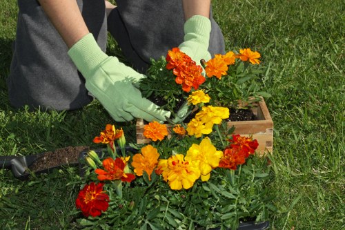 The image shows a person wearing light green gardening gloves tending to a vibrant flower bed in a garden. They are planting or arranging bright orange, yellow, and red marigolds in a wooden container or planter box. The garden surface consists of lush, well-maintained grass with a few garden edging elements visible near the flower bed. In the background, part of a lawn and some surrounding greenery can be seen, indicating an outdoor, landscaped yard setting typical of residential gardens in the Stoke Newington area. The scene suggests active garden maintenance or planting work, consistent with professional gardening and landscaping services that focus on enhancing outdoor spaces with colorful flower displays and careful plant care. The lighting is natural, indicating good weather conditions suitable for outdoor gardening activity, and the overall environment is neat and organized, reflecting quality outdoor garden care.