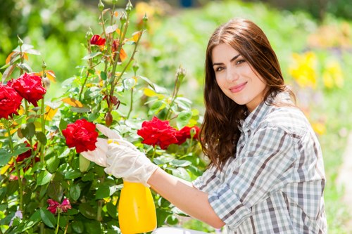 The image depicts a young woman with long brown hair smiling while tending to vibrant red roses in a well-maintained garden, which features lush green foliage, neatly trimmed bushes, and a variety of flowering plants. She is wearing a light-colored, checkered shirt and white gardening gloves, and holding a yellow spray bottle, suggesting she is engaged in plant care or pruning activities. The garden surface appears to include grass and possibly flower beds, with a natural outdoor environment illuminated by soft daylight, indicating a pleasant weather condition. The backdrop showcases more greenery and blurred flower patches, reflecting a carefully tended outdoor space typical of residential or community gardens in Stoke Newington, suitable for gardening services aimed at maintaining healthy lawns, flower beds, and shrubbery.