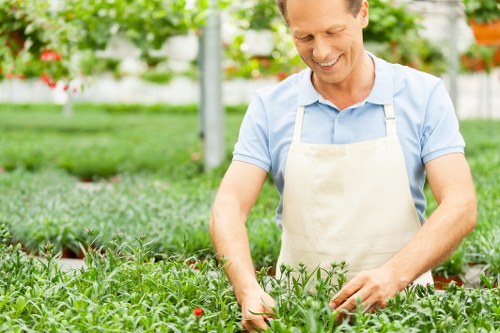 A gardener in a light blue shirt and beige apron is tending to a lush, green flower bed in an outdoor garden setting. The flower bed contains densely packed, healthy plants with small red flowers, bordered by a narrow edge of soil. The foreground features a well-maintained grass lawn with a dense, dark green appearance, suggesting regular care. In the background, there are taller trees and a structure with supporting poles, possibly part of a greenhouse or garden framework, with diffused sunlight illuminating the scene under partly cloudy skies. The garden area presents a tidy and organized layout, emphasizing the healthy growth of flowering plants and maintained lawn, reflecting professional gardening and landscaping practices typical of Stoke Newington. This detailed outdoor environment illustrates services like flower bed creation and lawn care, with a natural, vibrant atmosphere suitable for residential or community gardens in the region. The overall scene exudes a sense of care and attention to detail aligned with professional outdoor maintenance and garden design tailored to local gardening needs.