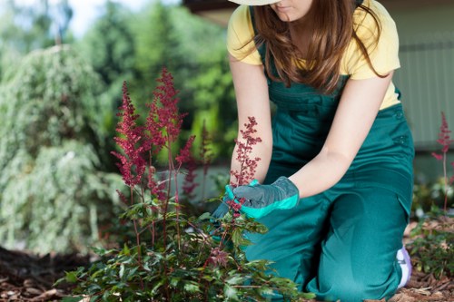 A woman in a green gardening apron and blue gloves is kneeling in a well-maintained garden, tending to a flower bed with pink and purple flowering plants. The garden features lush green grass, neatly edged flower borders, and a variety of shrubs and small trees in the background, indicating a landscaped outdoor space typical of Stoke Newington. The environment is bathed in natural daylight, suggesting a clear, mild weather day, with a softly blurred background of trees and possibly a garden shed or fencing. The scene reflects careful garden maintenance and planting activities, aligning with professional landscaping and gardening services offered by companies like Landscapers Stoke Newington, focusing on creating vibrant, orderly outdoor environments in the local area.
