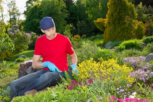 A man wearing a red t-shirt, blue patterned beanie, and blue gardening gloves is kneeling in a vibrant, well-maintained garden with a variety of flowering plants, shrubs, and grasses. The garden features a diverse mix of colours, including yellow, purple, and pink blooms, set against lush green foliage. The scene shows an outdoor landscaped space with a combination of flower beds, low-growing plants, and surrounding trees, some of which are tall and coniferous, creating a natural backdrop. The weather appears sunny and clear, illuminating the garden's textures and colours, and providing a pleasant environment suitable for gardening services offered by Landscapers Stoke Newington. The overall setting conveys a professionally maintained outdoor space with healthy plant growth, dense lawn areas, and decorative planting borders, typical of residential or community garden landscapes within the Stoke Newington area.
