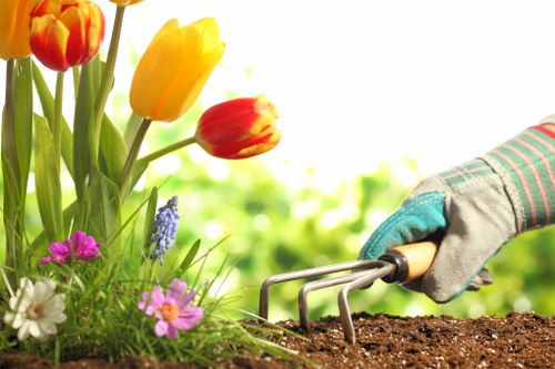 The image depicts a close-up view of a gardener's hand wearing a gardening glove, using a small hand rake to tend to a flower bed with vibrant, blooming tulips in shades of red, yellow, and orange. Surrounding the tulips are various other colorful flowers, including pink and white blossoms, set against lush green foliage in a well-maintained garden. The soil appears freshly turned and rich in organic matter, indicating recent planting or soil aeration. Sunlight filters through the background, suggesting a bright, clear day with natural outdoor lighting that highlights the vivid colors of the flowers and greenery. The scene focuses on detailed gardening activity, emphasizing care and maintenance of ornamental plants in a neatly arranged garden space, which is characteristic of residential outdoor landscaping and lawn care in Stoke Newington and the surrounding areas.