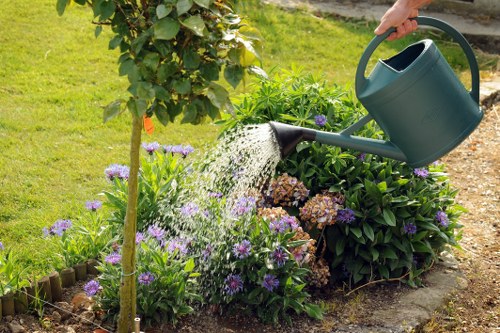 Seasonal planting and garden refresh services