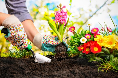A close-up of a gardener's hands wearing colorful gardening gloves, using a small hand trowel to plant a pink hyacinth flower into dark, moist soil within a well-maintained garden. Surrounding the planting area are vibrant flower beds with bright red, yellow, white, and pink blossoms, adding visual contrast to the lush green foliage. In the background, there are blurred trees with light green leaves and a clear blue sky, suggesting a sunny day. The garden layout features neatly prepared flower beds bordered by the lawn area, with a mix of flowering plants and shrubs. The scene captures a moment of outdoor garden maintenance, typical of services offered by local landscapers like Landscapers Stoke Newington, emphasizing professional planting and garden care in a residential outdoor space near Stoke Newington.
