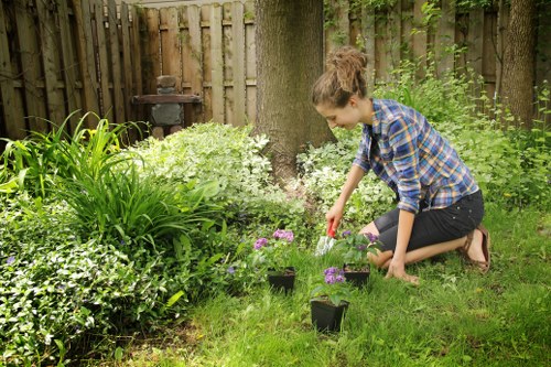 Professional garden design by Stoke Newington experts