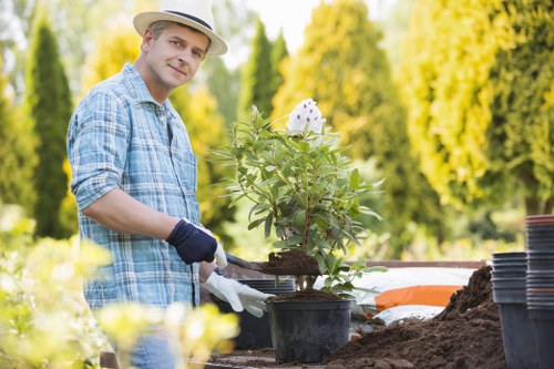 A gardener wearing a light-colored hat, blue checked shirt, and gloves is working outdoors in a garden that features a mixture of grass and soil. In the foreground, a potted flowering plant with green foliage and white blossoms sits on a wooden table or work surface, surrounded by gardening tools, soil, and empty plant pots. Behind him, the garden includes a neatly maintained lawn area, with a background of tall, lush green trees and bushes that form a natural hedge or boundary. The scene is set on a bright, sunny day with natural light illuminating the garden, highlighting the vibrant greens of the plants and the natural tones of the soil and paving. This image reflects professional gardening and landscaping activities typical of Stoke Newington, showcasing garden planting, soil preparation, and outdoor maintenance, relevant to the services offered by Landscapers Stoke Newington.
