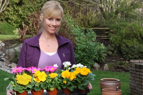 A woman with blonde hair, dressed in a purple cardigan and white top, is standing in a well-maintained backyard garden during daylight, holding a black tray with multiple flower pots filled with vibrant yellow, white, and pink primroses. The garden features a lush green lawn in the foreground, bordered by flower beds and small shrubs. Behind her, there are leafy trees and bushes providing a natural backdrop, along with a set of wooden steps leading up a slight slope. The outdoor space also includes clay pots placed on the grass and paved surfaces, with natural sunlight illuminating the scene, creating a bright and inviting atmosphere. This setting potentially reflects gardening and landscaping activities, including planting and tending to flowers, consistent with the services offered by Landscapers Stoke Newington for garden enhancement and outdoor maintenance in the local area near postcode N16.