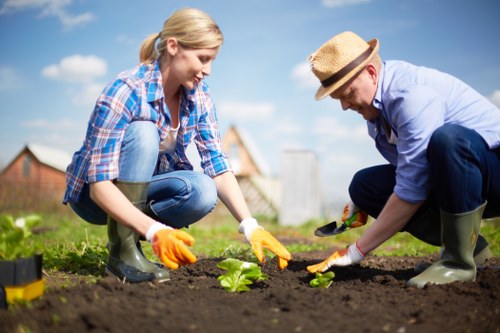 A woman and a man are engaged in gardening activities in a backyard garden, with both wearing gardening gloves and rubber boots while tending to a young leafy green plant in freshly turned dark soil. The woman, dressed in a blue plaid shirt and jeans, is crouched down, gently placing or inspecting the plant, while the man, wearing a light blue shirt, dark trousers, and a straw hat, is also kneeling and using a small gardening tool. The garden area features a neatly maintained lawn with green grass, a patch of rich soil, and a surrounding garden border with plants and hedges in the background. The scene is illuminated by natural daylight, under a partly cloudy sky, conveying a bright and healthy outdoor environment suitable for gardening and landscaping services, including lawn care, planting, and garden maintenance in Stoke Newington and the surrounding area.