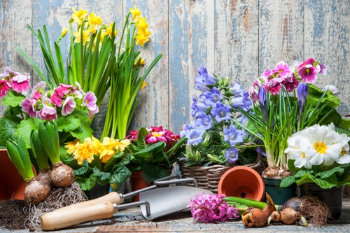 Seasonal lawn care practices being implemented